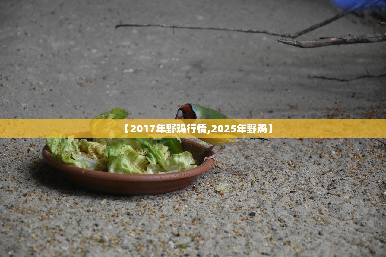 【2017年野鸡行情,2025年野鸡】