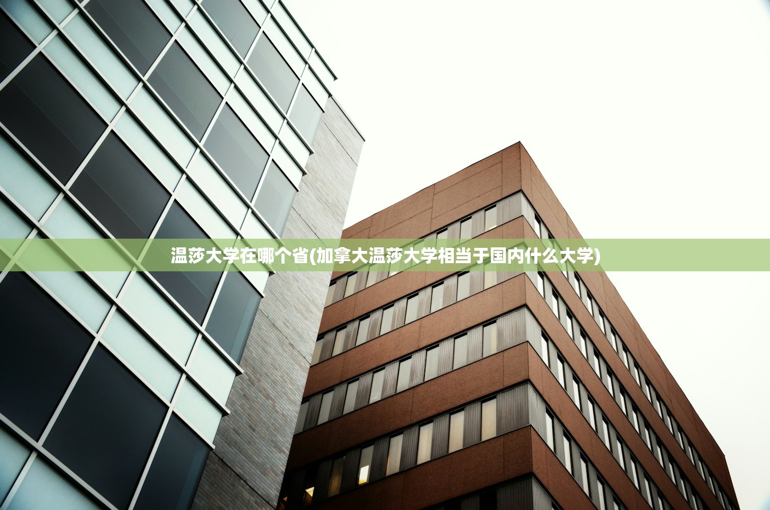 温莎大学在哪个省(加拿大温莎大学相当于国内什么大学)