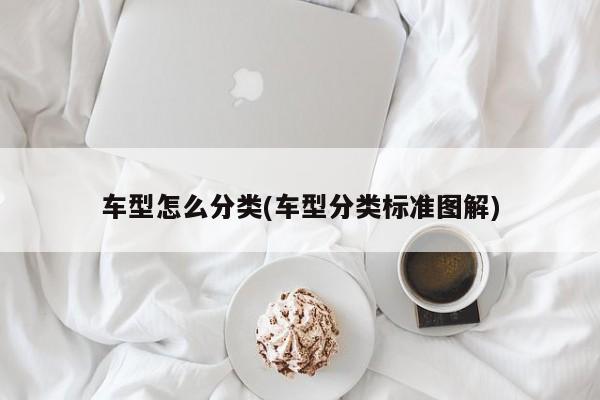 车型怎么分类(车型分类标准图解)