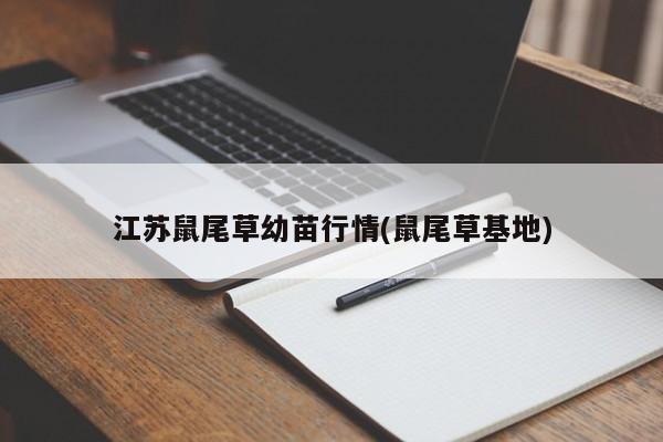 江苏鼠尾草幼苗行情(鼠尾草基地)