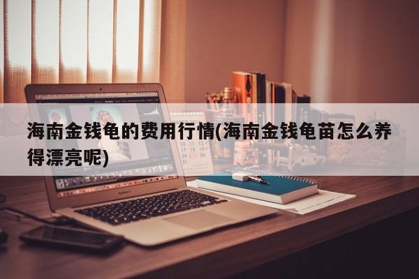 海南金钱龟的费用行情(海南金钱龟苗怎么养得漂亮呢)