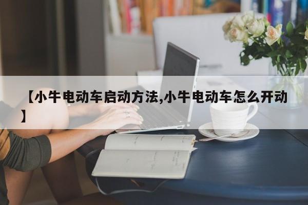 【小牛电动车启动方法,小牛电动车怎么开动】
