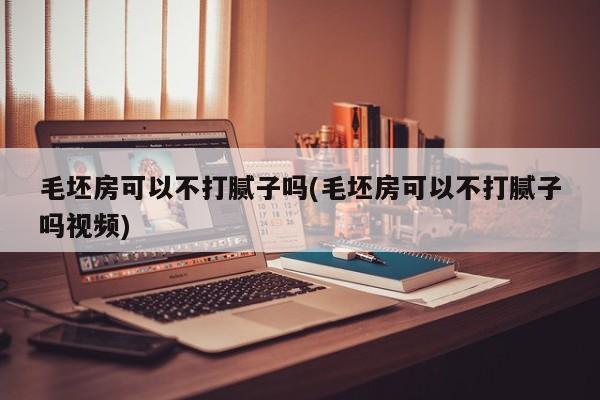 毛坯房可以不打腻子吗(毛坯房可以不打腻子吗视频)