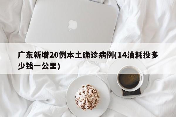 广东新增20例本土确诊病例(14油耗投多少钱一公里)