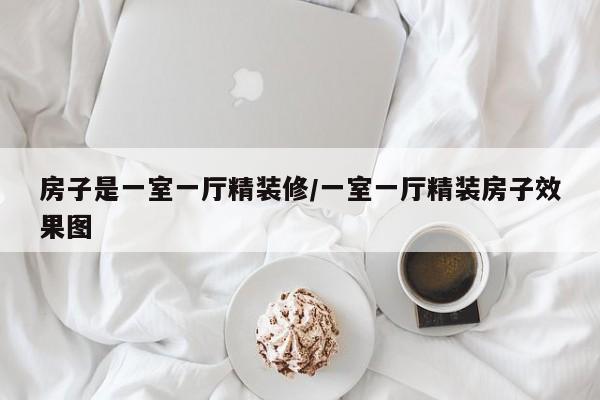 房子是一室一厅精装修/一室一厅精装房子效果图
