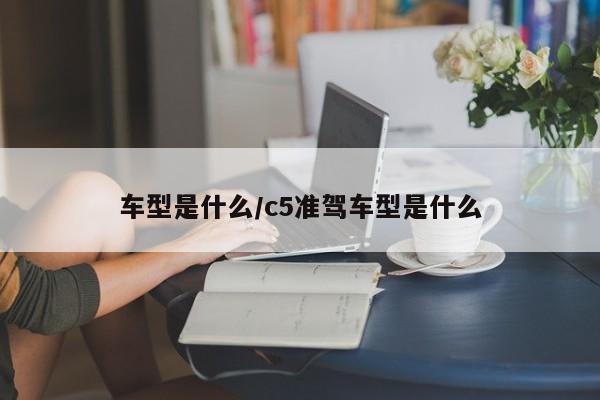 车型是什么/c5准驾车型是什么