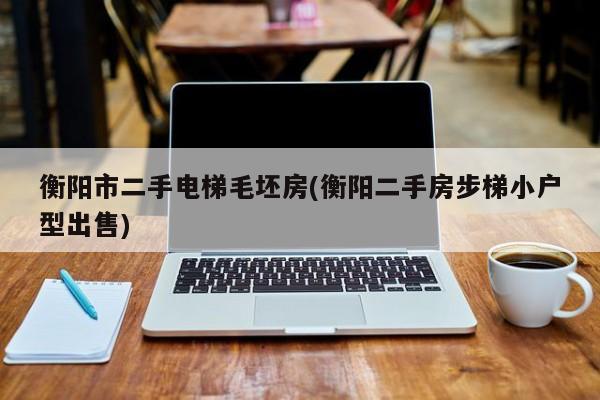 衡阳市二手电梯毛坯房(衡阳二手房步梯小户型出售)