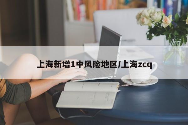 上海新增1中风险地区/上海zcq
